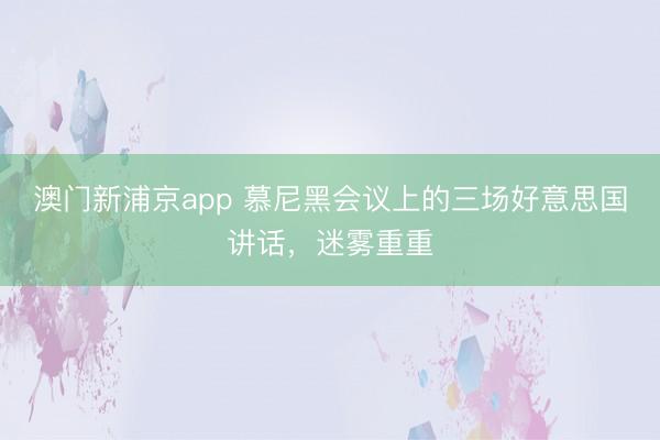 澳门新浦京app 慕尼黑会议上的三场好意思国讲话，迷雾重重