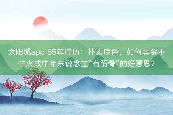 太阳城app 85年挂历：朴素底色，如何真金不怕火成中年东说念主“有筋骨”的好意思？
